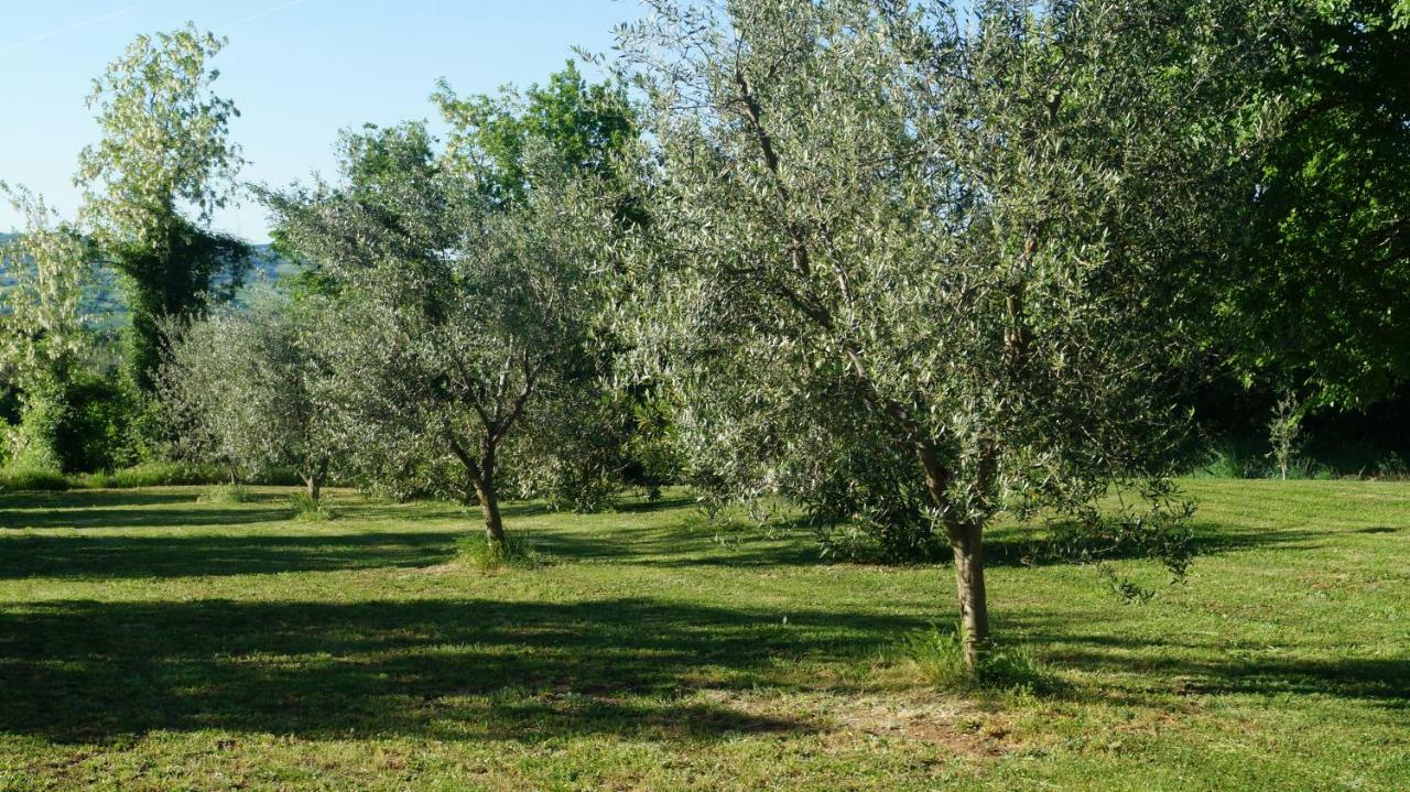 Agriturismo Poggio San Pietro Pitigliano Bagian luar foto