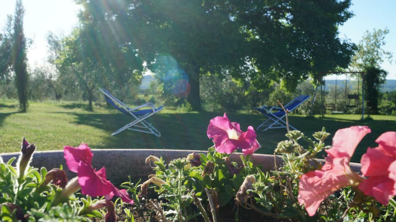 Agriturismo Poggio San Pietro Pitigliano Bagian luar foto